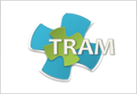 TRAM: TeleRehabilitación Audiovisual Motora