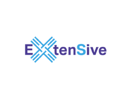 ExtenSive: Extending the attractiveness of transport for end user and extending IP4 to SaaS solutions