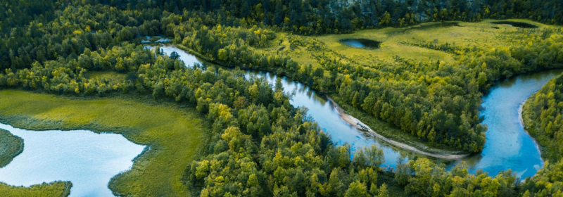 Indra Group once again consolidates its position among the world's sustainability elite as a leader of the technology sector, according to the Dow Jones Sustainability Index
